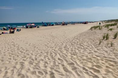 Sandee Brant Beach