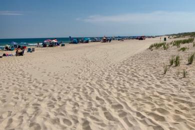 Sandee Brant Beach Photo