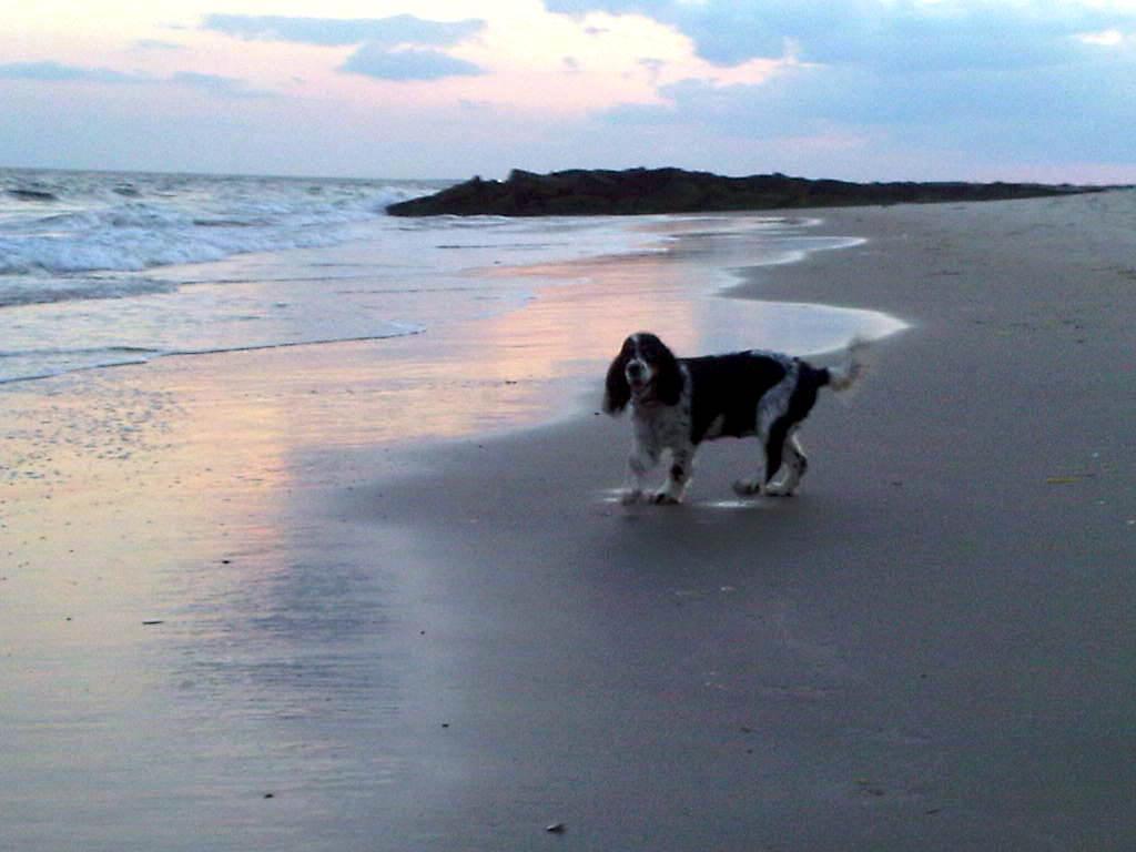 Sandee - Somers Point Beach