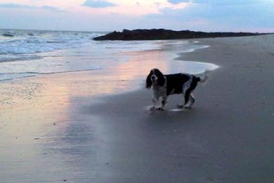 Sandee - Somers Point Beach