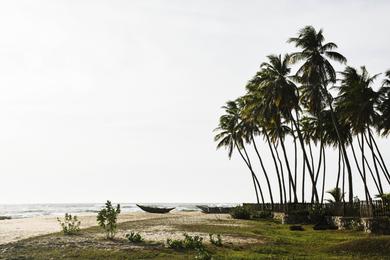 Sandee - Arugam Bay