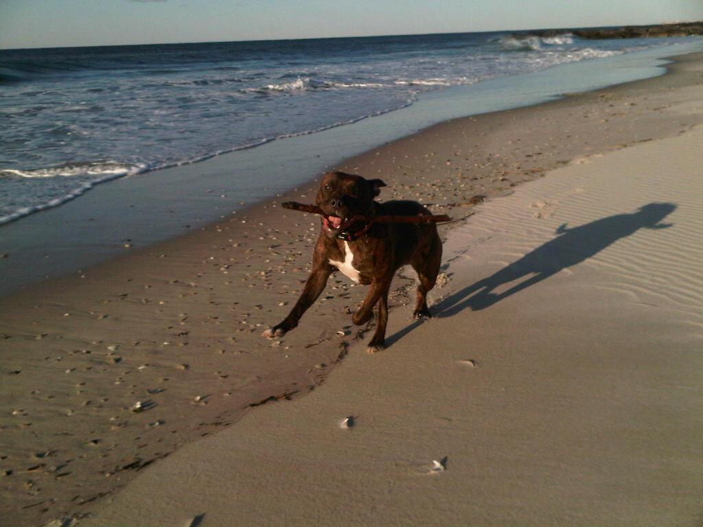 Sandee - Somers Point Beach