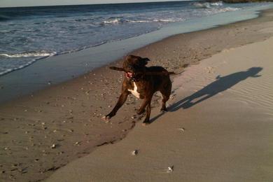 Sandee - Somers Point Beach