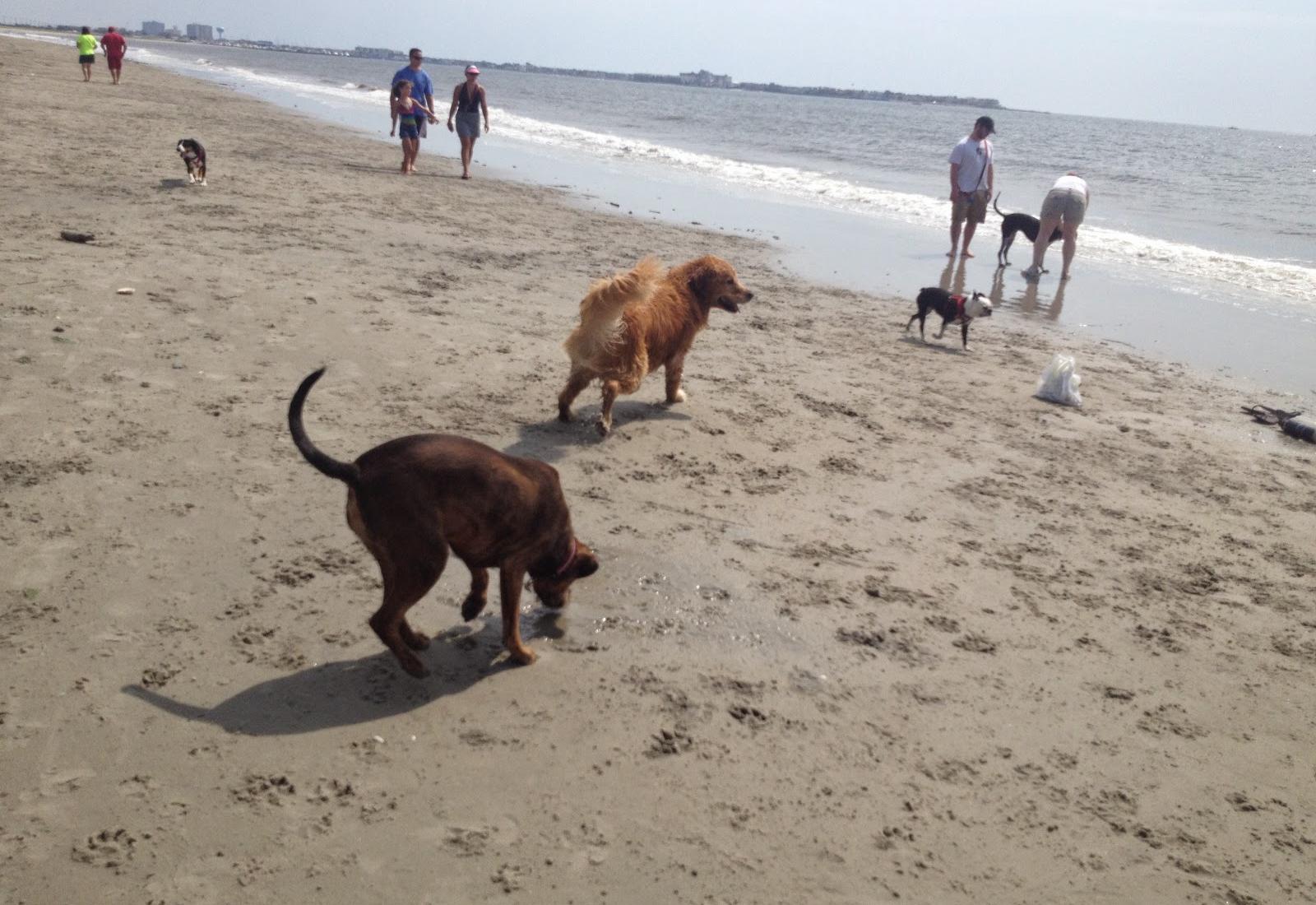 Sandee - Somers Point Beach