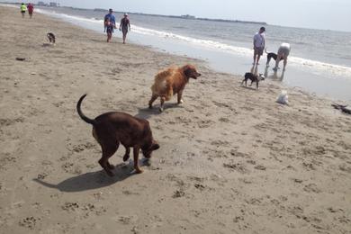 Sandee - Somers Point Beach