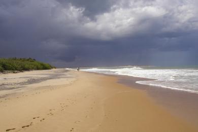 Sandee - Arugam Bay