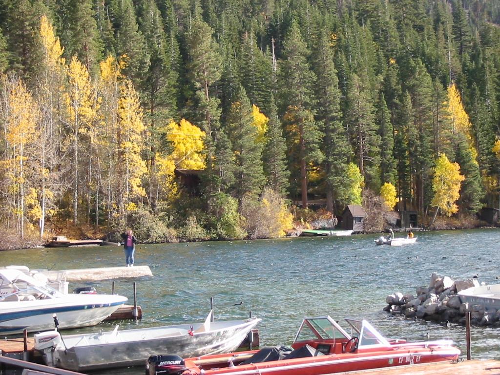 Sandee - Gull Lake Marina