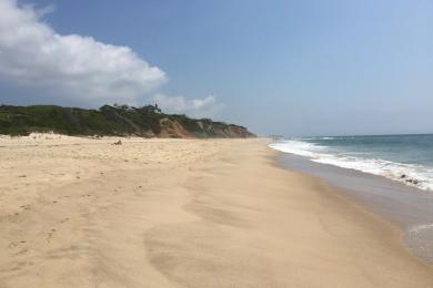 Sandee Montauk Beach