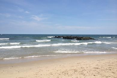 Sandee Whale Beach Photo