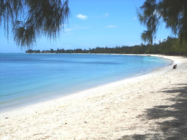 Sandee Mont Choisy Beach