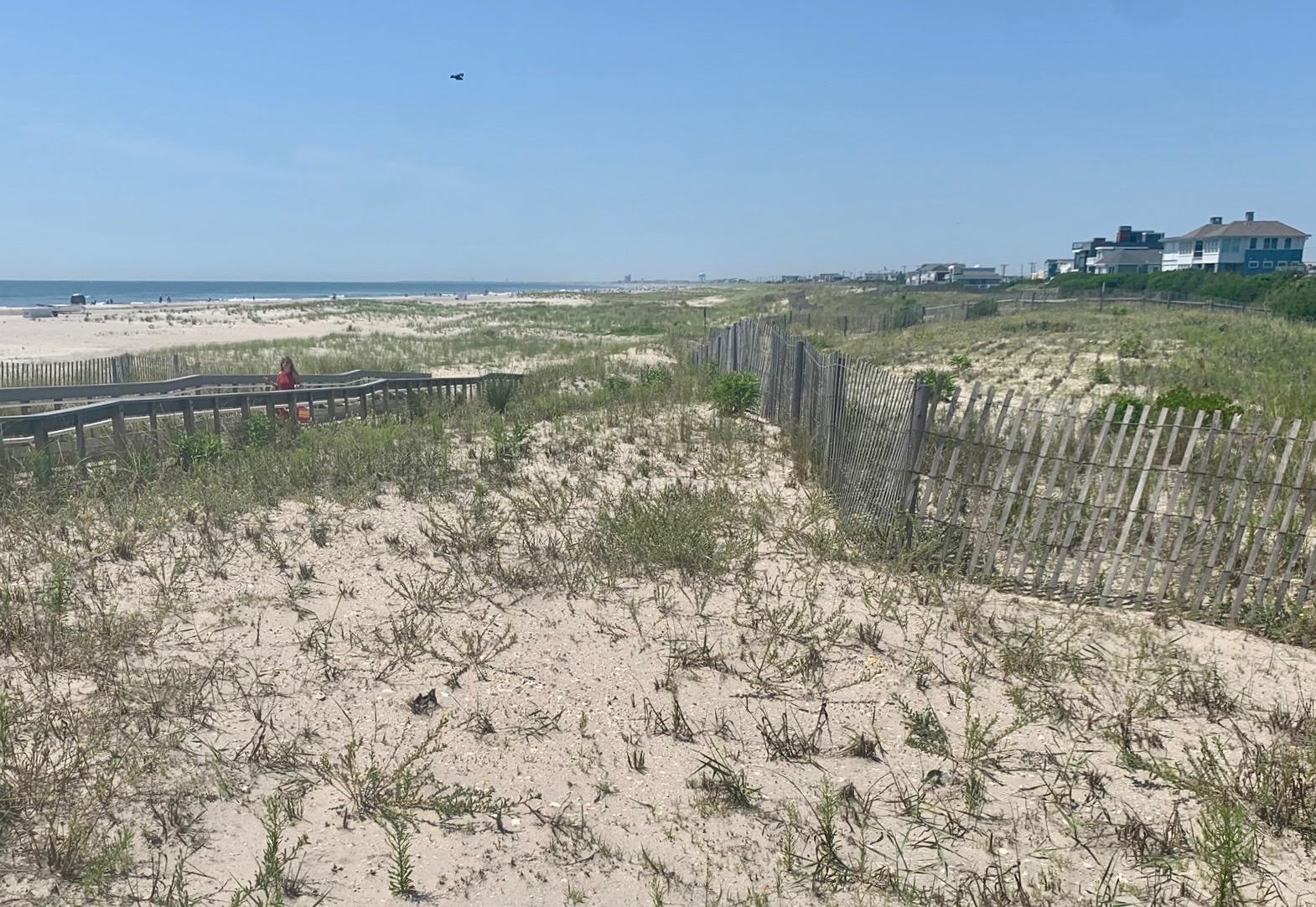 Sandee - Strathmere Beach