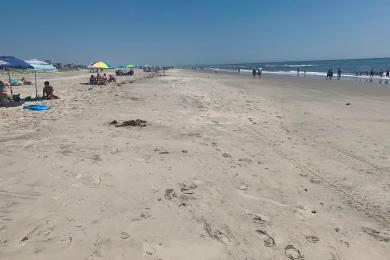 Sandee Strathmere Beach