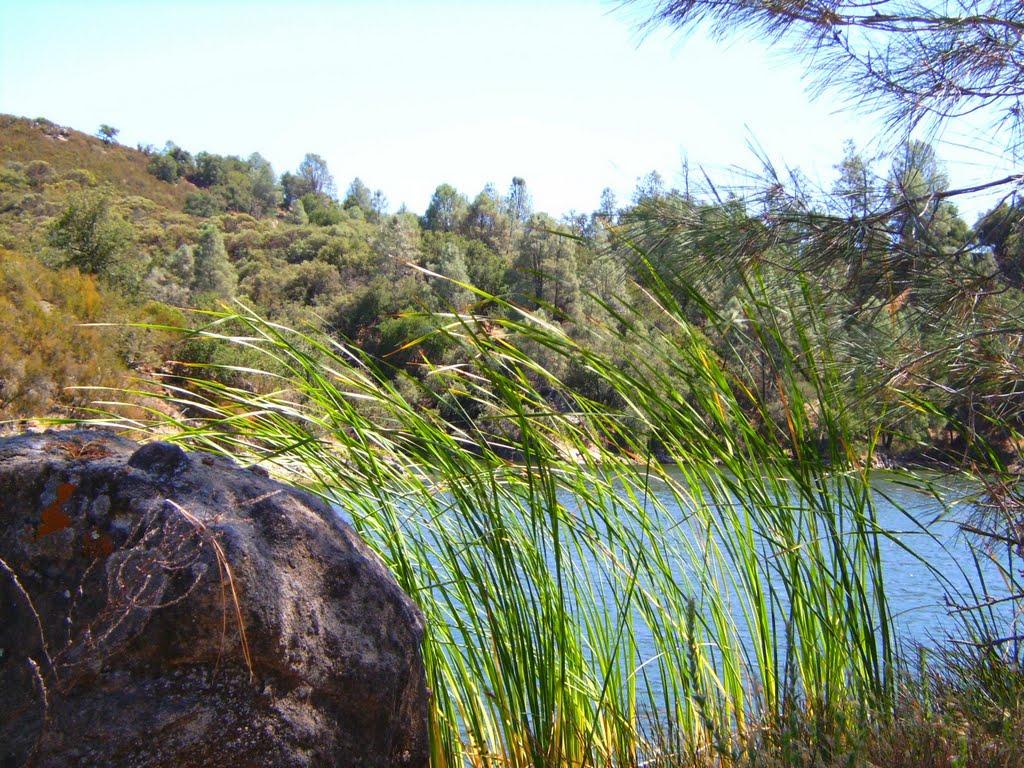 Sandee - Santa Margarita Lake Marina