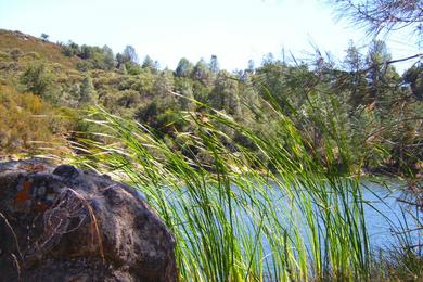 Sandee - Santa Margarita Lake Marina