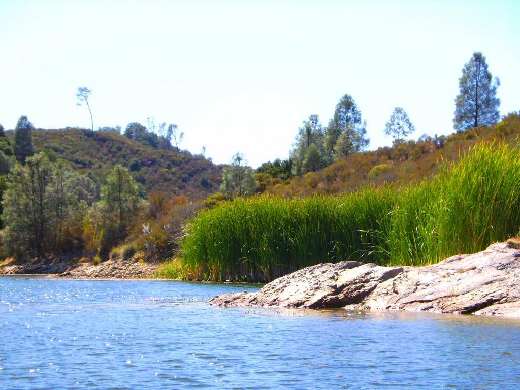 Sandee - Santa Margarita Lake Marina