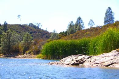 Sandee - Santa Margarita Lake Marina