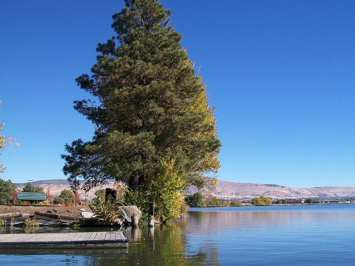 Sandee - Klamath Falls Veterans Park