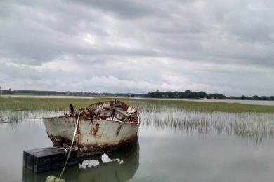 Sandee Stono River - Wolf Island Photo