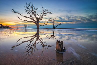 Sandee Botany Bay