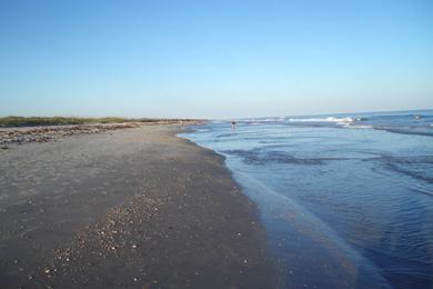 Sandee - Georgetown County Beach