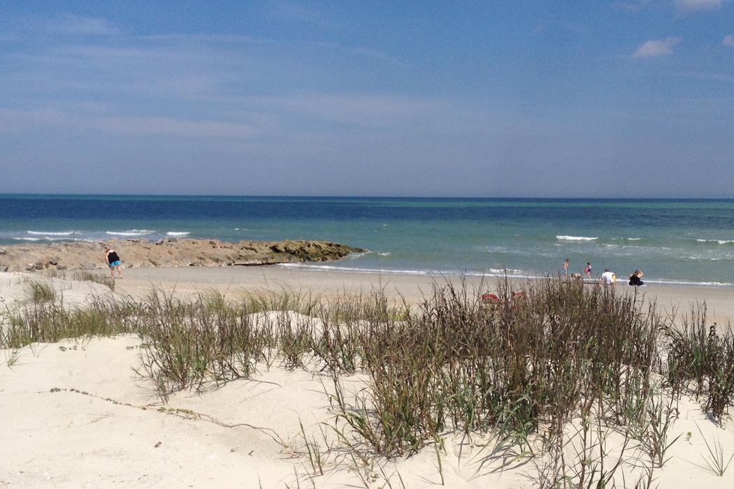 Sandee Pawleys Island Town