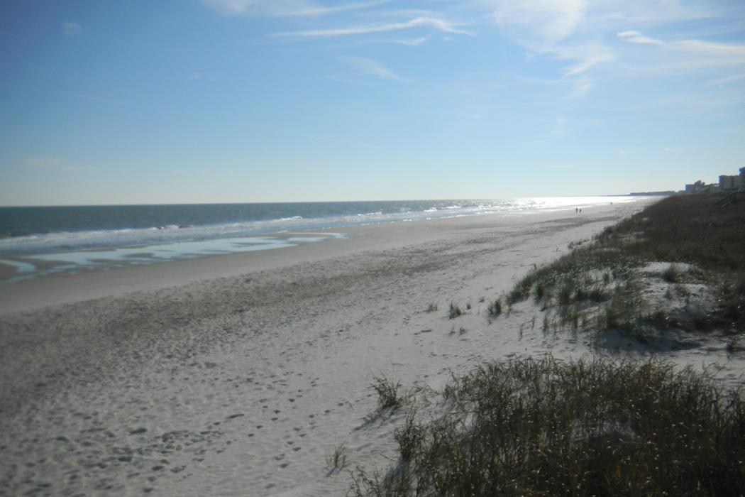 Sandee Litchfield Beach