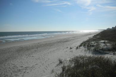 Sandee Litchfield Beach