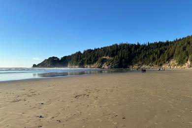 Sandee Short Sands Beach