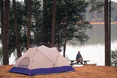 Sandee - Baker Creek State Park