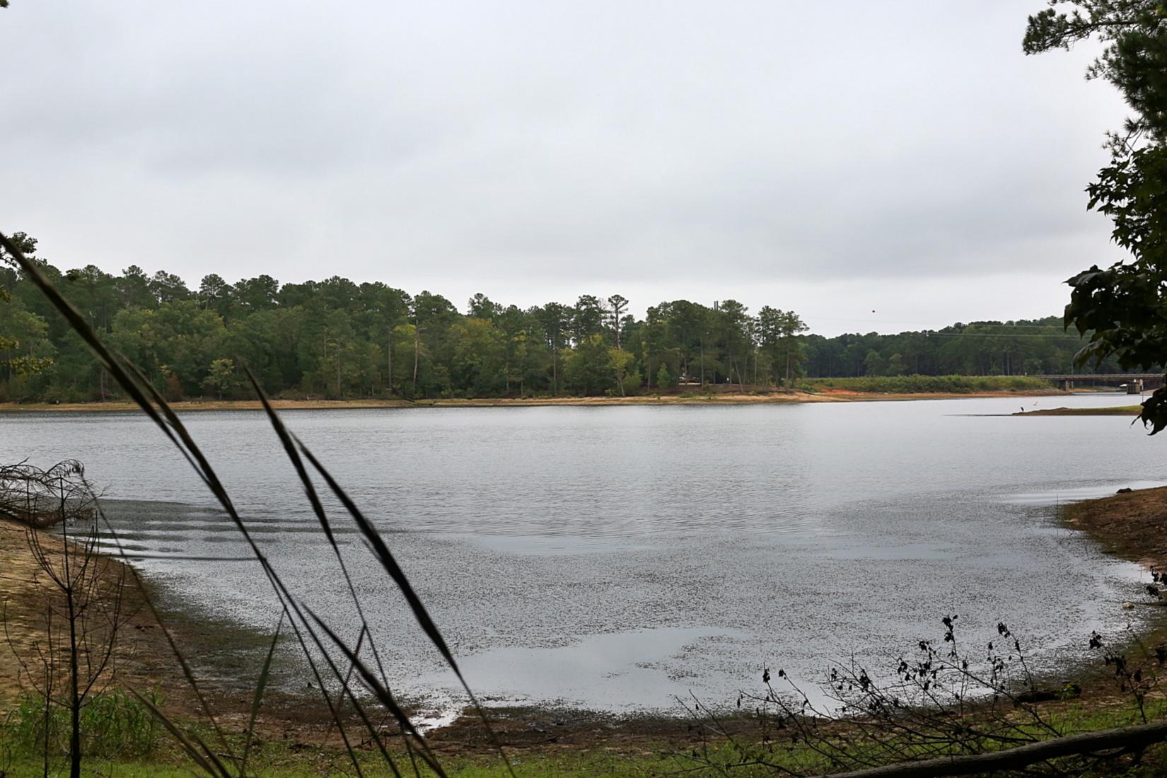 Sandee - Baker Creek State Park