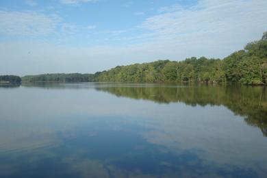 Sandee Lake Greenwood State Park