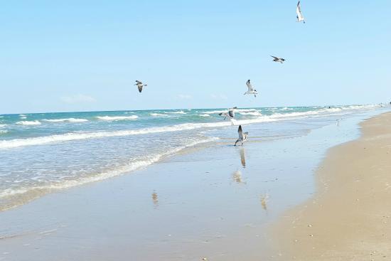 Sandee - Boca Chica State Park