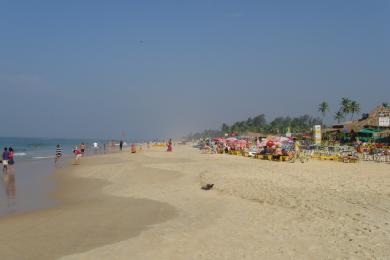 Sandee Benaulim Beach