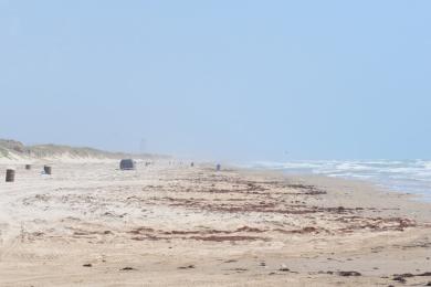 Sandee - Boca Chica State Park