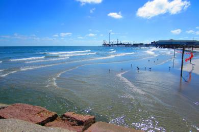 Sandee Galveston Island Historic Pleasure Pier