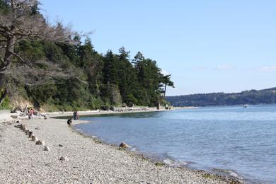 Sandee Baby Island