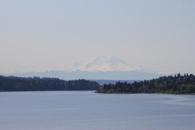 Sandee Andrews Bay