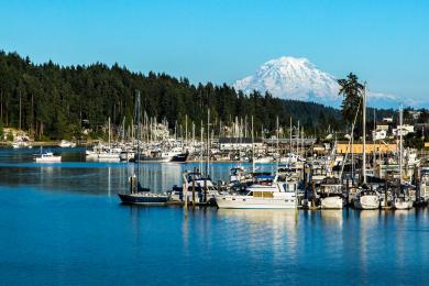 Sandee Arabella's Landing Marina Photo