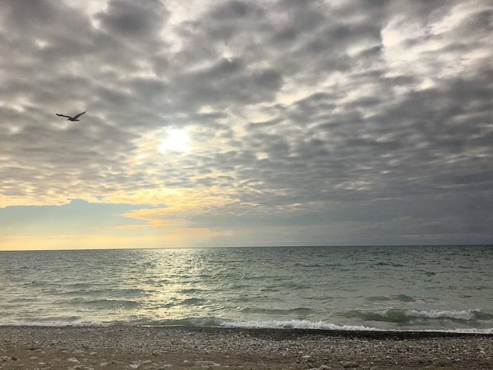 Sandee - Alford Park Beach