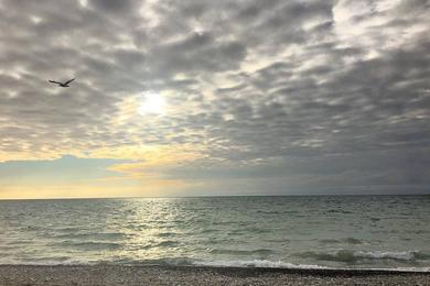 Sandee - Alford Park Beach