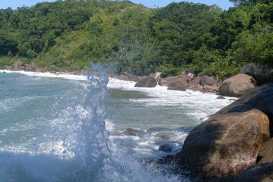 Sandee Saco Da Mae Maria