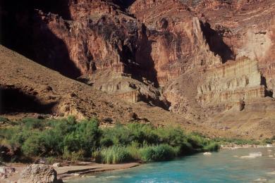 Sandee - Colorado River