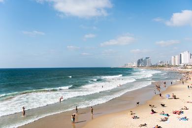 Sandee - Burleigh Heads Beach