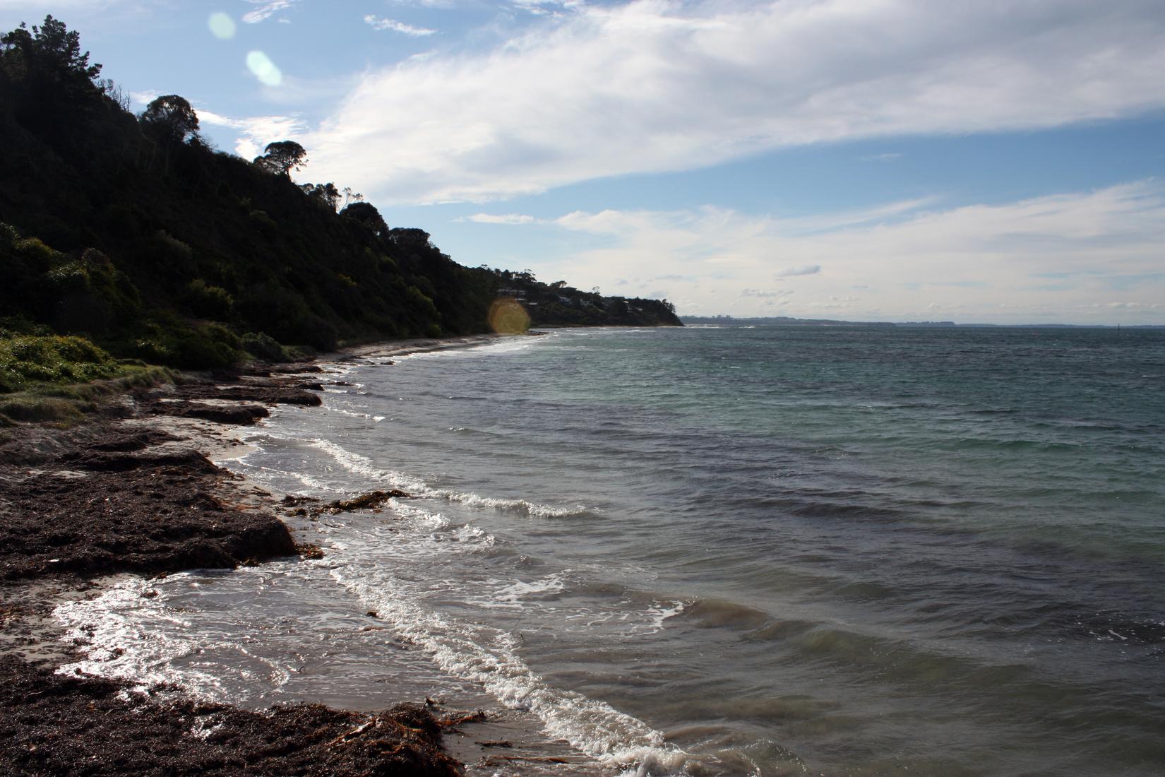 North Stradbroke Island Photo - Sandee