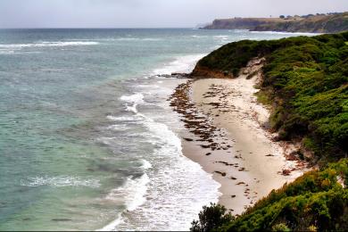 Sandee - Flinders Beach