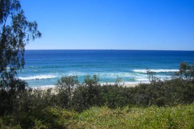 Sandee - Noosa Main Beach