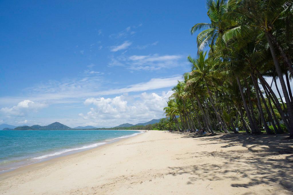 Sandee Palm Cove Photo