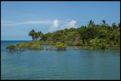 Sandee Port Douglas Photo