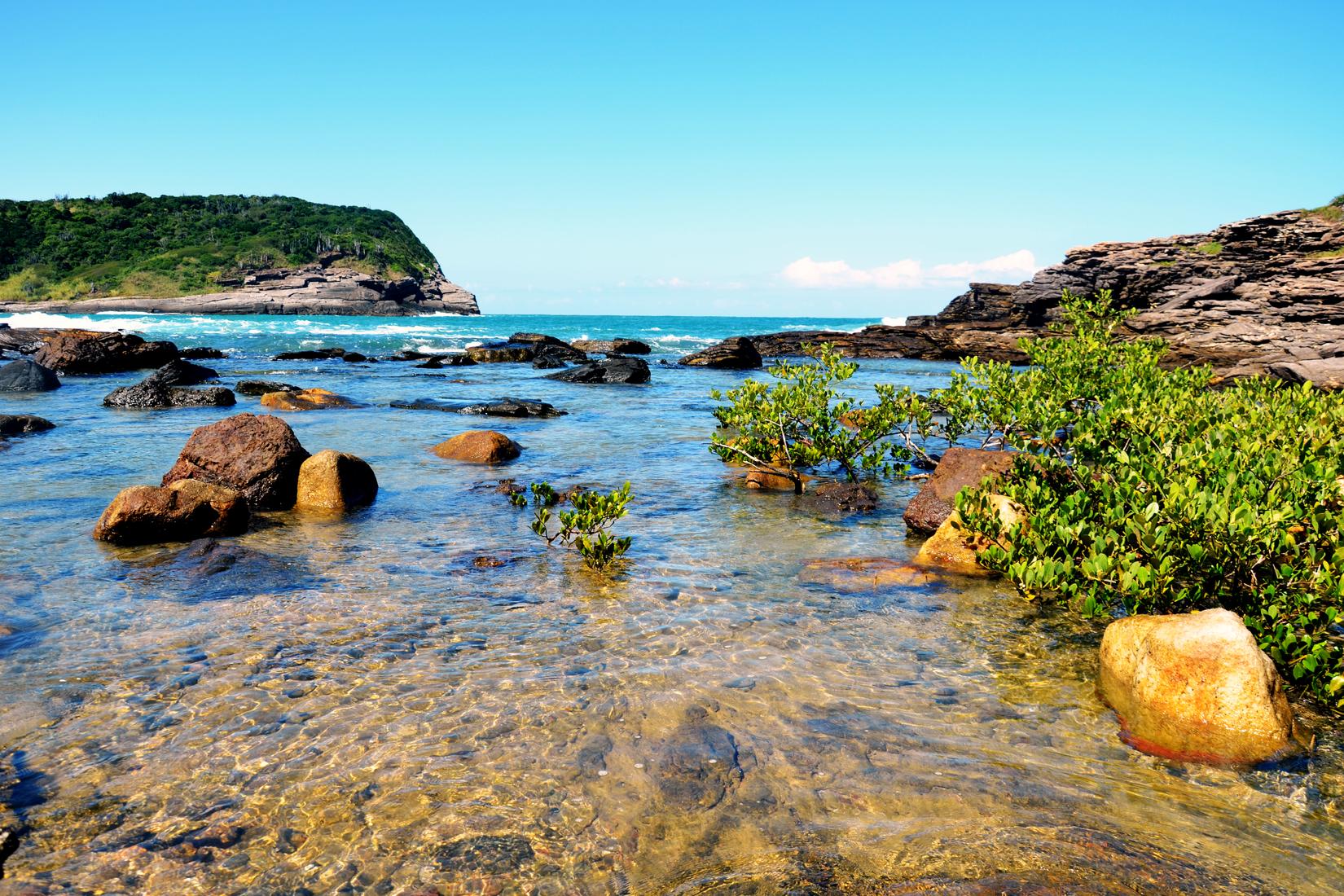 Sandee - Foca Beach