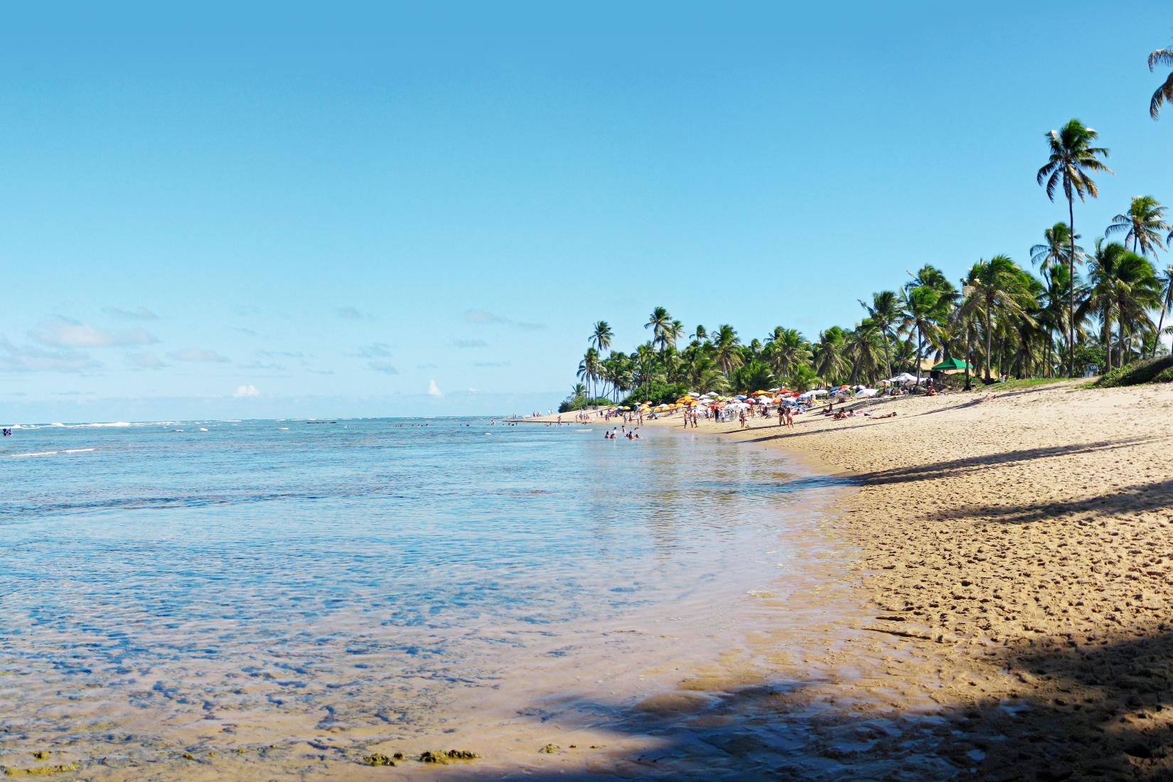 Praia do Forte Photo - Sandee